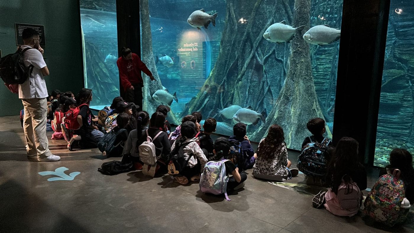 Estudiantes sentados frente a un acuario escuchando a una guía durante una salida pedagógica