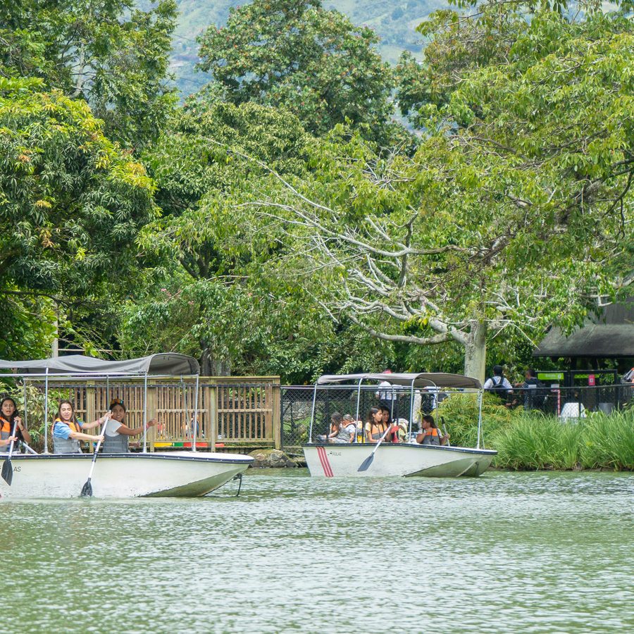El lago del Parque Comfama Las Ballenitas